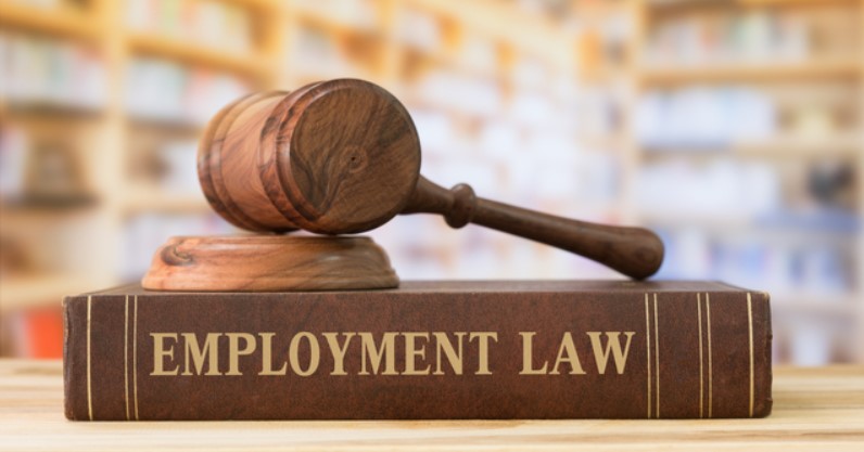 WHAT ARE THE TYPES OF CASES IN EMPLOYMENT LAW?