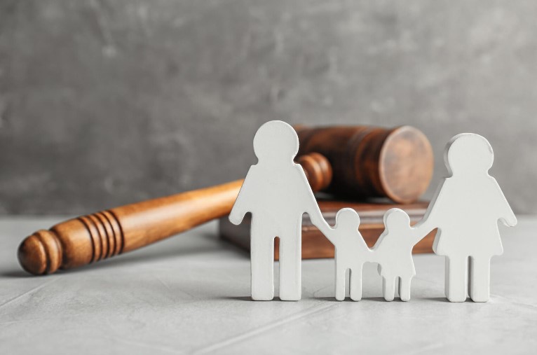 Challenges in Guardianship Law